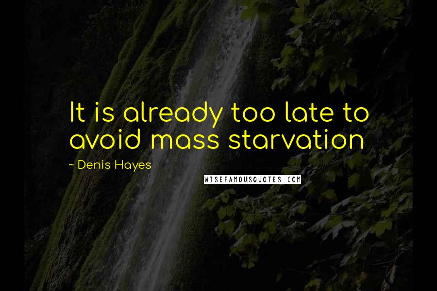 Denis Hayes quotes: It is already too late to avoid mass starvation