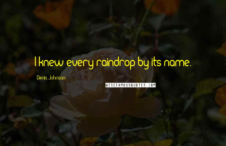 Denis Johnson quotes: I knew every raindrop by its name.