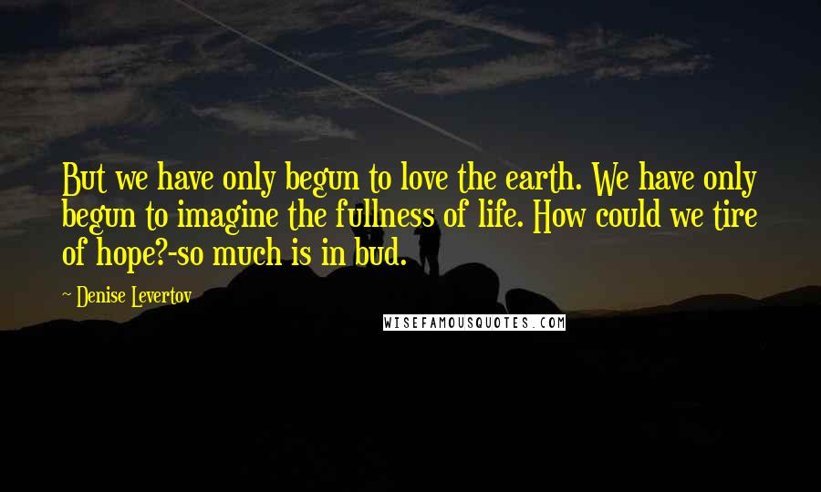 Denise Levertov quotes: But we have only begun to love the earth. We have only begun to imagine the fullness of life. How could we tire of hope?-so much is in bud. Denise Levertov quotes: But we have only begun to love the earth. We have only begun to imagine the fullness of life. How could we tire of hope?-so much is in bud.