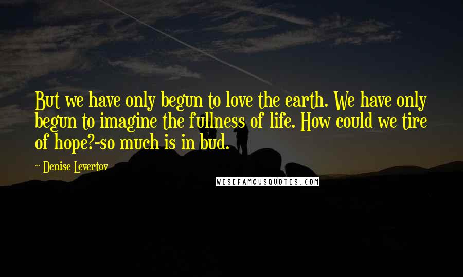 Denise Levertov quotes: But we have only begun to love the earth. We have only begun to imagine the fullness of life. How could we tire of hope?-so much is in bud.