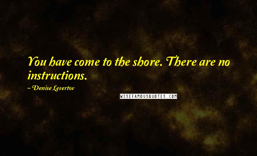 Denise Levertov quotes: You have come to the shore. There are no instructions.