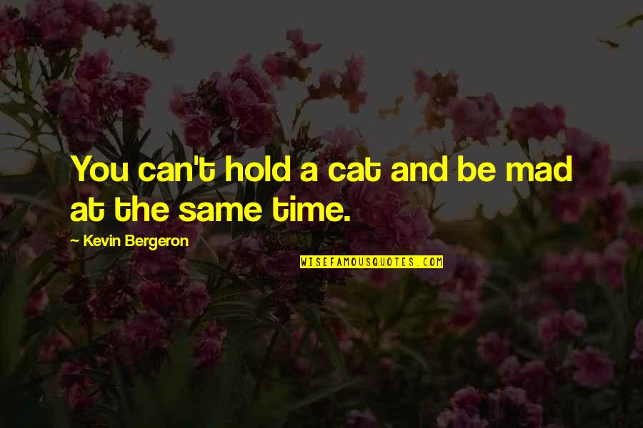 Denise Robins Quotes By Kevin Bergeron: You can't hold a cat and be mad Denise Robins Quotes By Kevin Bergeron: You can't hold a cat and be mad