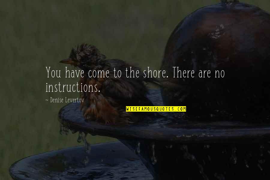 Denise's Quotes By Denise Levertov: You have come to the shore. There are