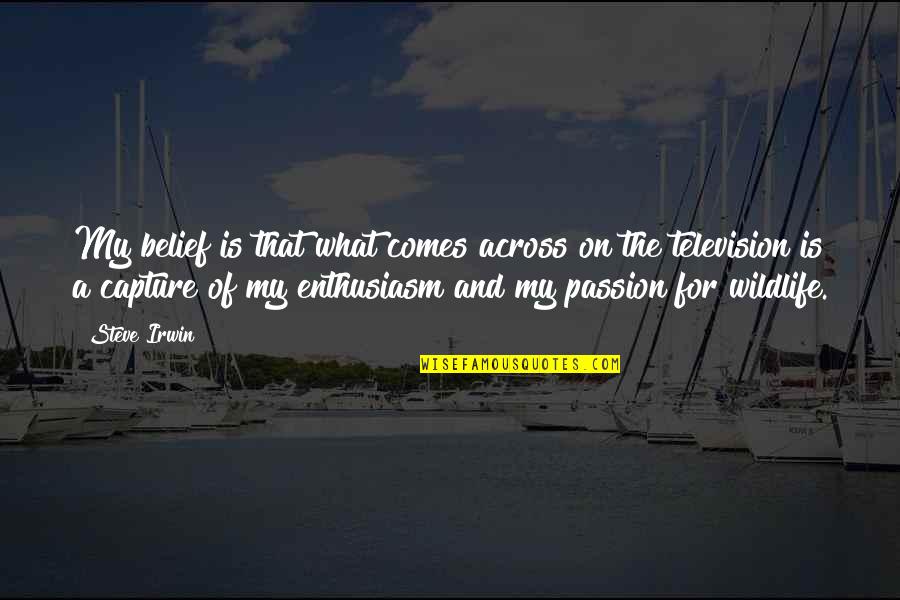 Denishia Reese Quotes By Steve Irwin: My belief is that what comes across on Denishia Reese Quotes By Steve Irwin: My belief is that what comes across on