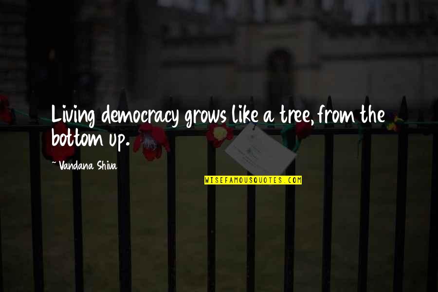 Denizciler Quotes By Vandana Shiva: Living democracy grows like a tree, from the Denizciler Quotes By Vandana Shiva: Living democracy grows like a tree, from the