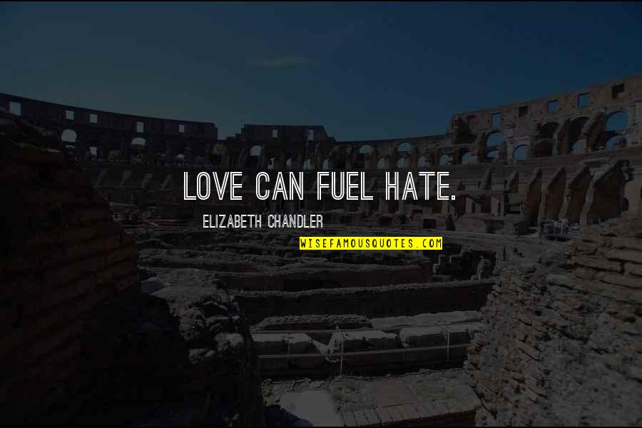 Denk Aan Jou Quotes By Elizabeth Chandler: Love can fuel hate.