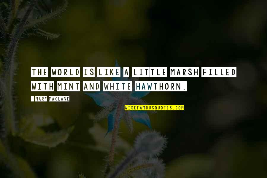 Denmark Hetalia Quotes By Mary MacLane: The world is like a little marsh filled