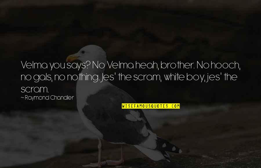 Denmeade Samuel Quotes By Raymond Chandler: Velma you says? No Velma heah, brother. No Denmeade Samuel Quotes By Raymond Chandler: Velma you says? No Velma heah, brother. No