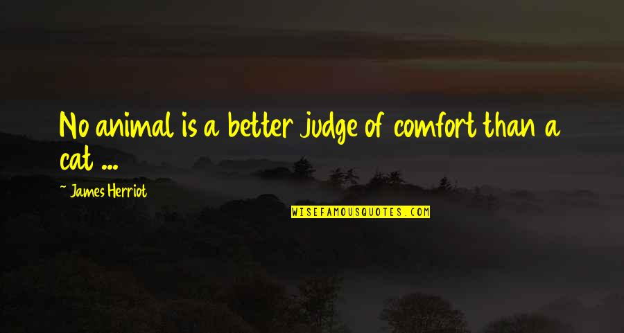 Denmine Quotes By James Herriot: No animal is a better judge of comfort