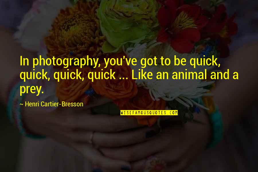 Dennis Reynolds Range Rover Quotes By Henri Cartier-Bresson: In photography, you've got to be quick, quick,