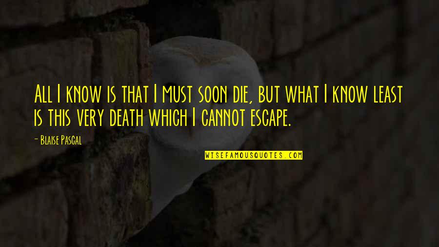 Dennis Reynolds Steve Winwood Quotes By Blaise Pascal: All I know is that I must soon