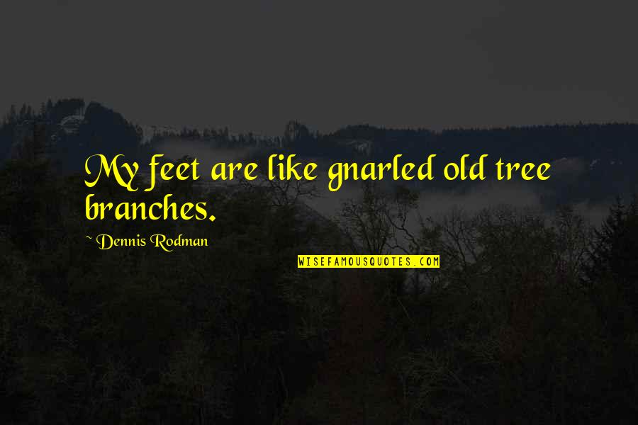 Dennis Rodman Quotes By Dennis Rodman: My feet are like gnarled old tree branches.