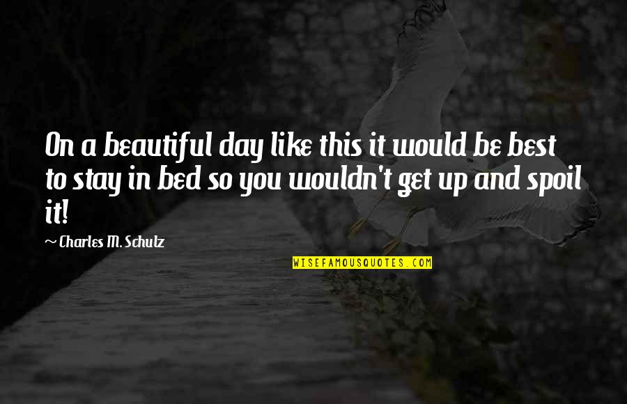 Denote Define Quotes By Charles M. Schulz: On a beautiful day like this it would