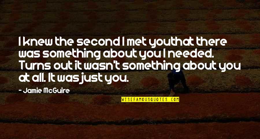 Dentinger Mullins Quotes By Jamie McGuire: I knew the second I met youthat there