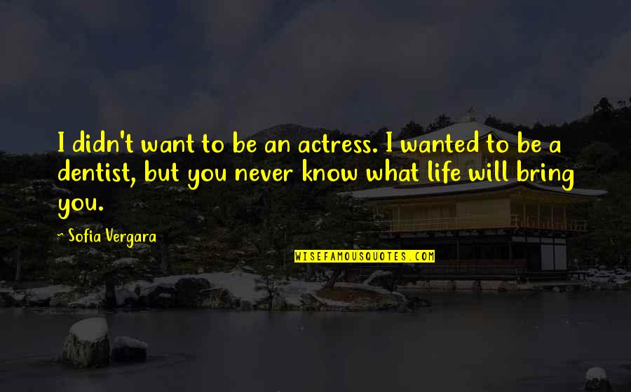 Dentist Quotes By Sofia Vergara: I didn't want to be an actress. I
