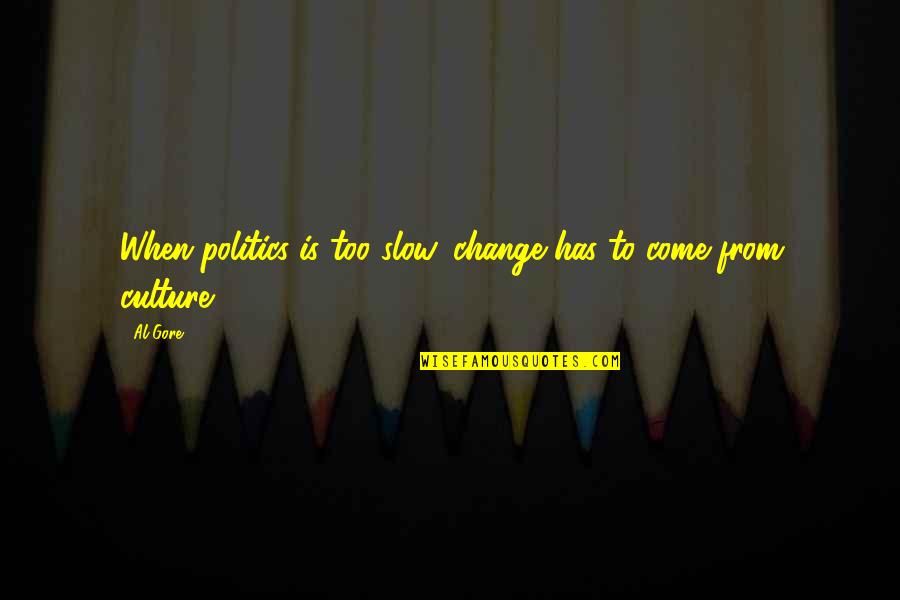 Dentonic Quotes By Al Gore: When politics is too slow, change has to