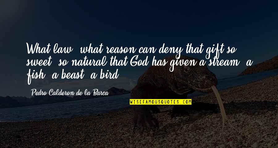 Deny God Quotes By Pedro Calderon De La Barca: What law, what reason can deny that gift