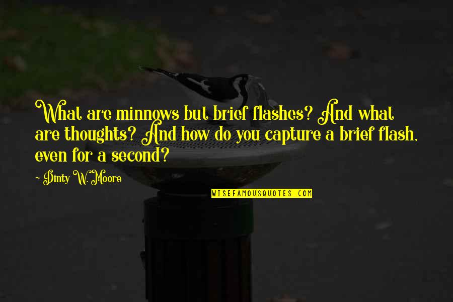 Denyin Quotes By Dinty W. Moore: What are minnows but brief flashes? And what