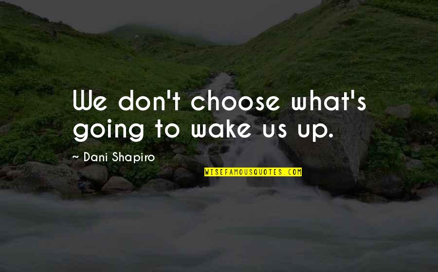 Denying Feelings For Someone Quotes By Dani Shapiro: We don't choose what's going to wake us Denying Feelings For Someone Quotes By Dani Shapiro: We don't choose what's going to wake us