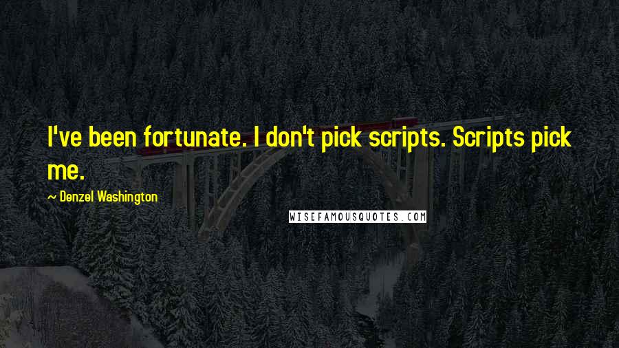 Denzel Washington quotes: I've been fortunate. I don't pick scripts. Scripts pick me.