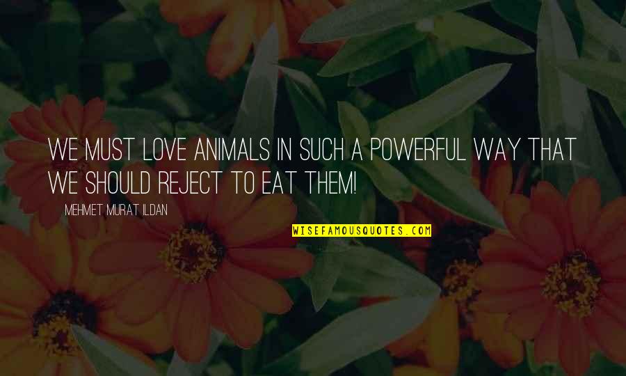 Deodata's Quotes By Mehmet Murat Ildan: We must love animals in such a powerful