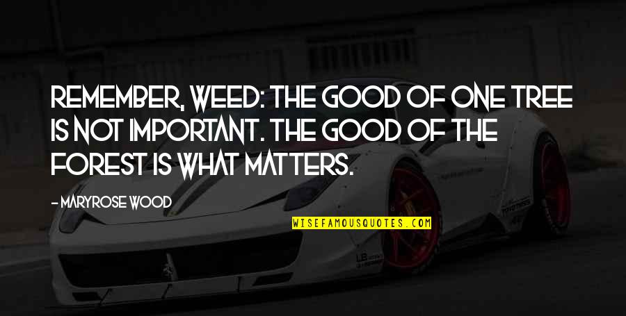 Deoras Pine Quotes By Maryrose Wood: Remember, Weed: The good of one tree is Deoras Pine Quotes By Maryrose Wood: Remember, Weed: The good of one tree is
