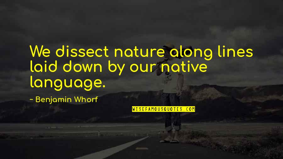 Departing Employee Quotes By Benjamin Whorf: We dissect nature along lines laid down by Departing Employee Quotes By Benjamin Whorf: We dissect nature along lines laid down by