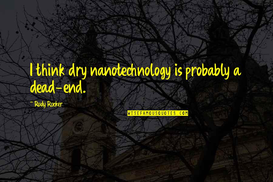 Depend On Family Quotes By Rudy Rucker: I think dry nanotechnology is probably a dead-end.