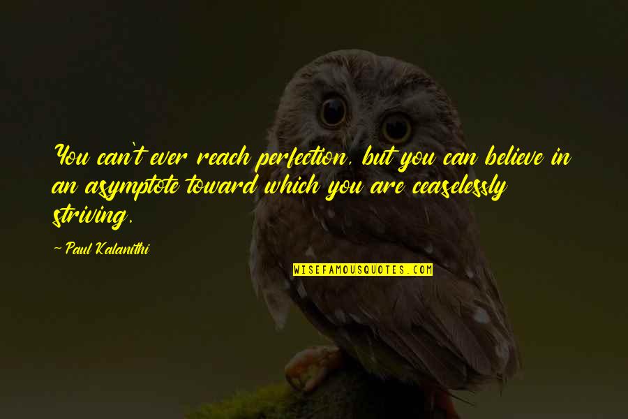 Dependents Quotes By Paul Kalanithi: You can't ever reach perfection, but you can