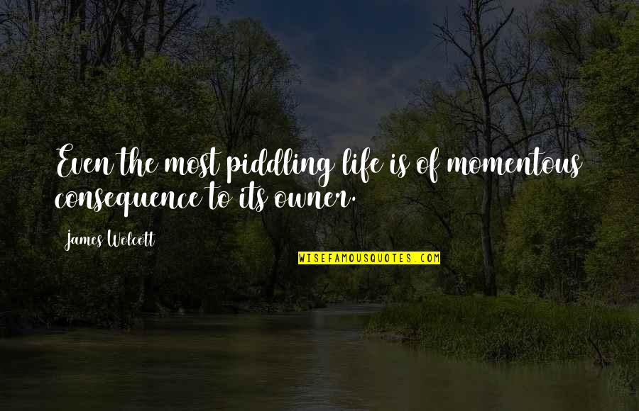 Depersonalization Quotes By James Wolcott: Even the most piddling life is of momentous