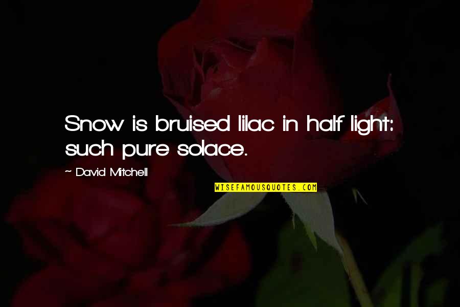 Depersonalized Quotes By David Mitchell: Snow is bruised lilac in half light: such