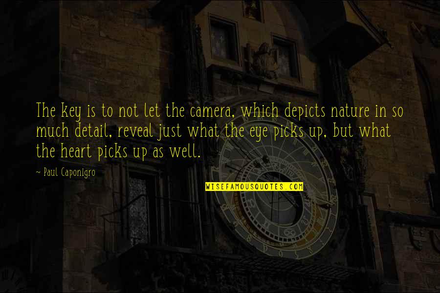 Depicts Quotes By Paul Caponigro: The key is to not let the camera,