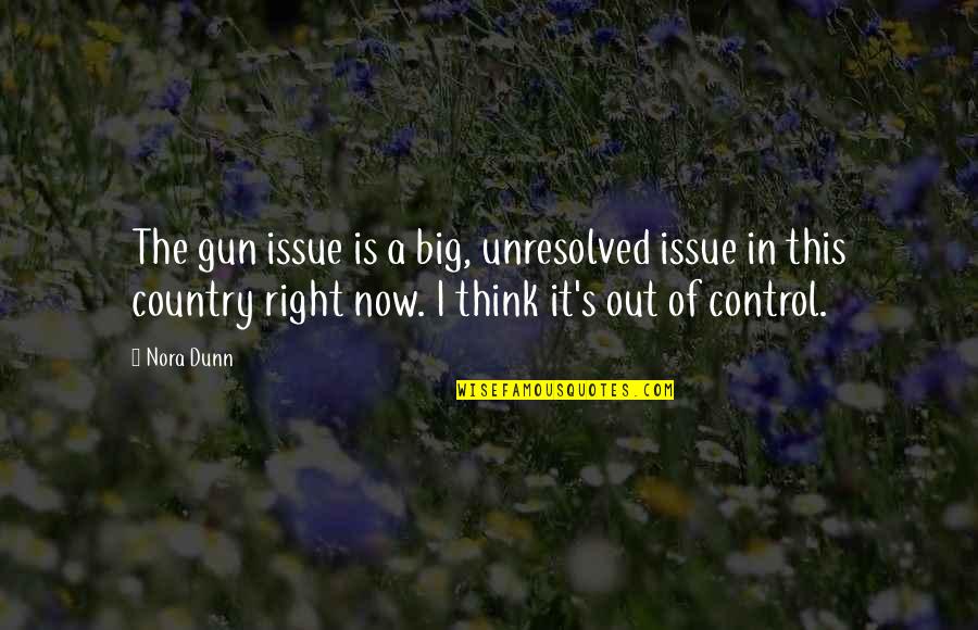 Deportable Charges Quotes By Nora Dunn: The gun issue is a big, unresolved issue