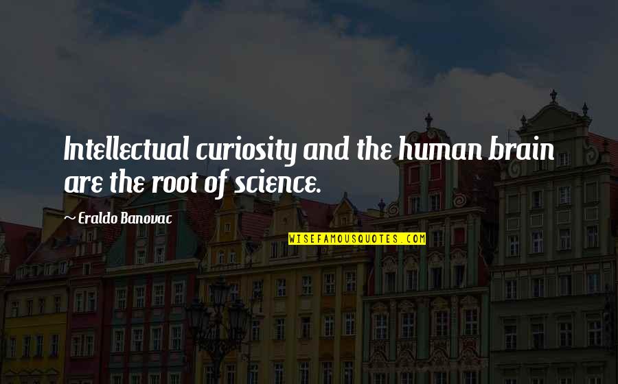 Depot Quotes By Eraldo Banovac: Intellectual curiosity and the human brain are the