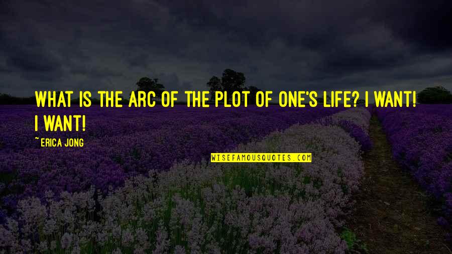 Deprecatory Blessing Quotes By Erica Jong: What is the arc of the plot of