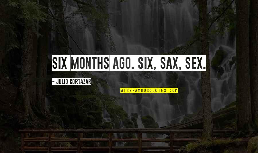Deprecatory Hallucinations Quotes By Julio Cortazar: Six months ago. Six, sax, sex.