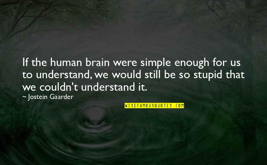 Depreciate Quotes By Jostein Gaarder: If the human brain were simple enough for