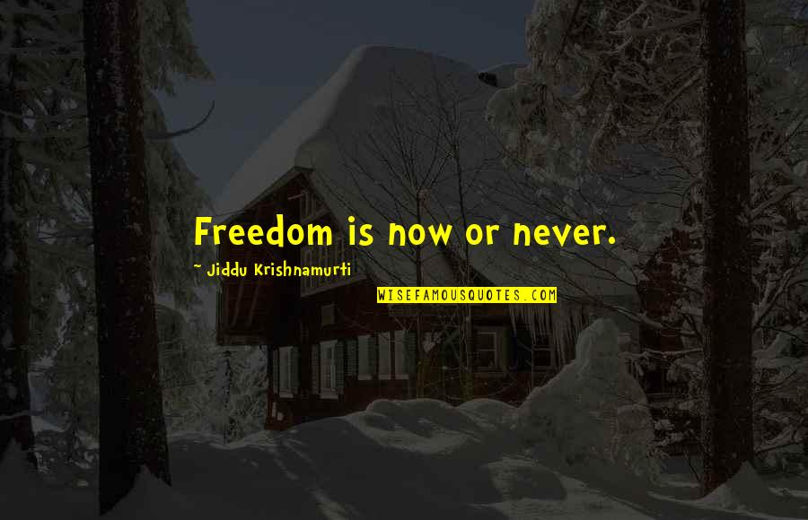 Depredadores De Los Conejos Quotes By Jiddu Krishnamurti: Freedom is now or never. Depredadores De Los Conejos Quotes By Jiddu Krishnamurti: Freedom is now or never.