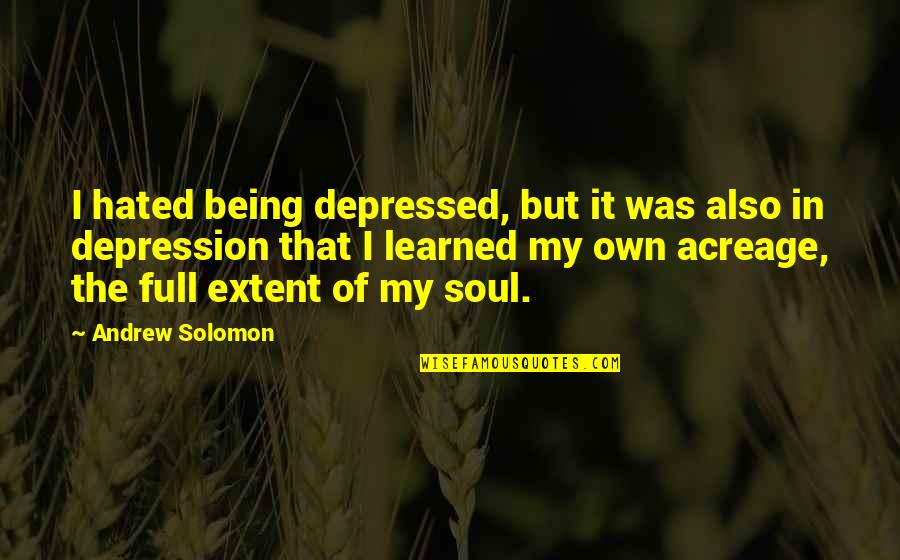 Depressed Soul Quotes By Andrew Solomon: I hated being depressed, but it was also