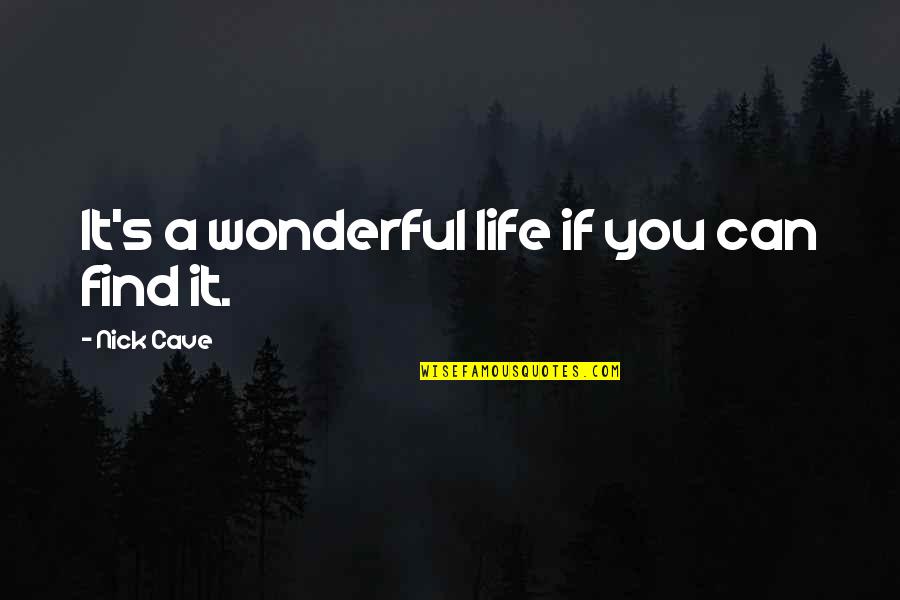 Depressing Quotes By Nick Cave: It's a wonderful life if you can find