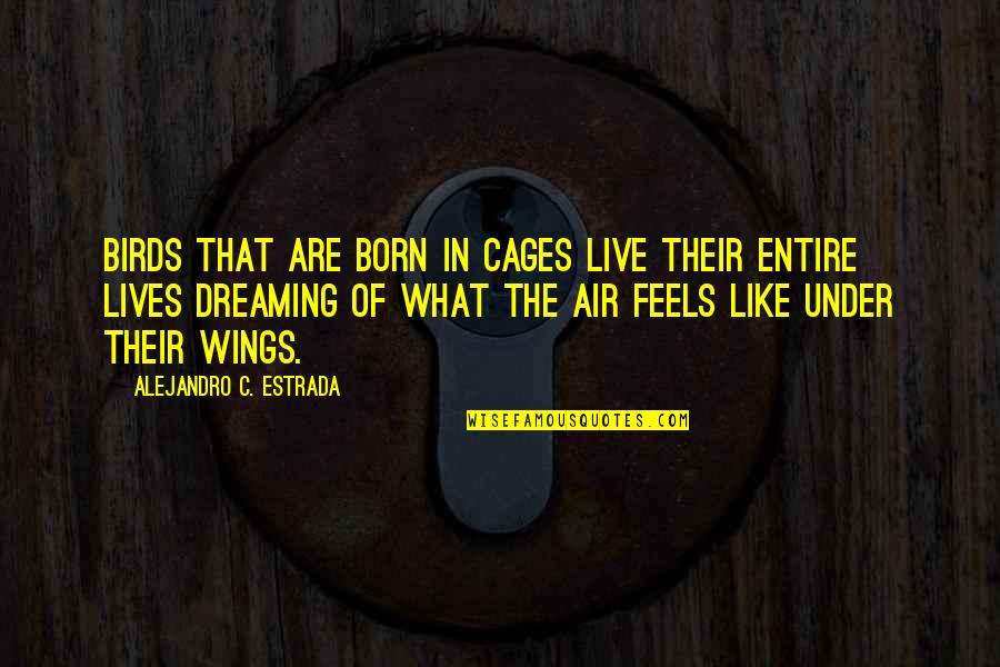 Depression And Heartbreak Quotes By Alejandro C. Estrada: Birds that are born in cages live their