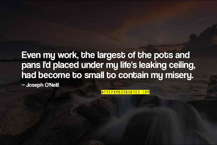 Depression And Life Quotes By Joseph O'Neill: Even my work, the largest of the pots