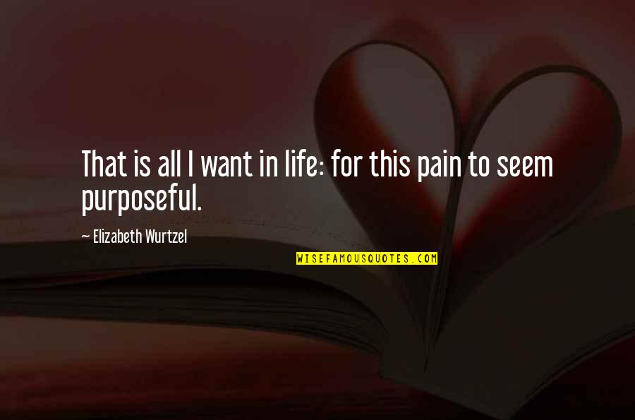 Depression And Pain Quotes By Elizabeth Wurtzel: That is all I want in life: for