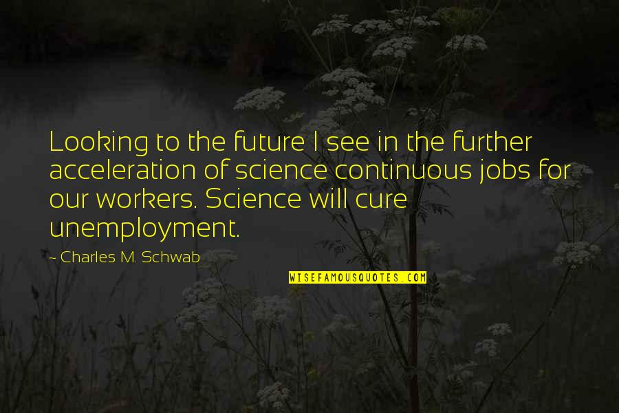 Depression Cure Quotes By Charles M. Schwab: Looking to the future I see in the