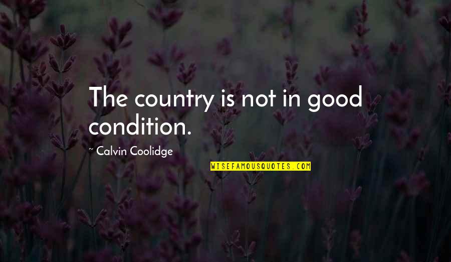 Depression Is Good Quotes By Calvin Coolidge: The country is not in good condition. Depression Is Good Quotes By Calvin Coolidge: The country is not in good condition.