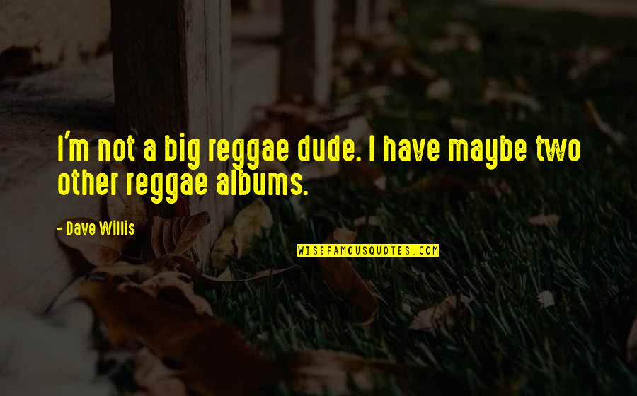 Depression Looks Like Quotes By Dave Willis: I'm not a big reggae dude. I have