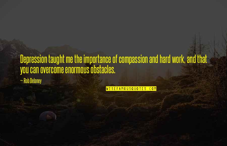 Depression Overcome Quotes By Rob Delaney: Depression taught me the importance of compassion and Depression Overcome Quotes By Rob Delaney: Depression taught me the importance of compassion and