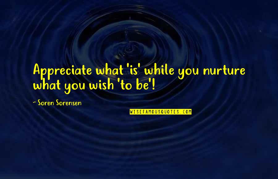 Depression Stories Quotes By Soren Sorensen: Appreciate what 'is' while you nurture what you