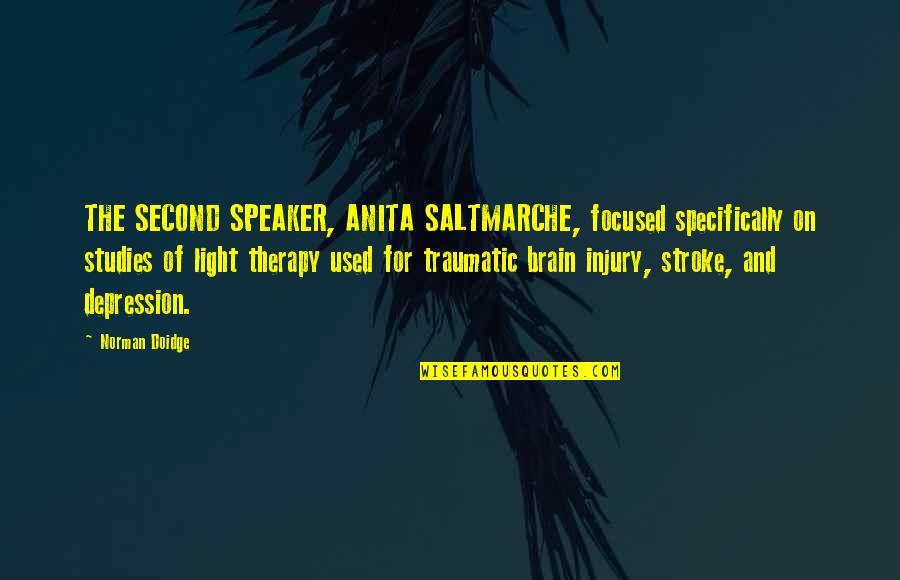 Depression Therapy Quotes By Norman Doidge: THE SECOND SPEAKER, ANITA SALTMARCHE, focused specifically on