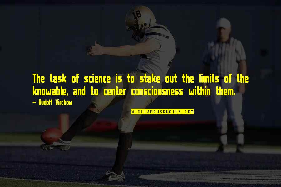 Depressionary Quotes By Rudolf Virchow: The task of science is to stake out Depressionary Quotes By Rudolf Virchow: The task of science is to stake out